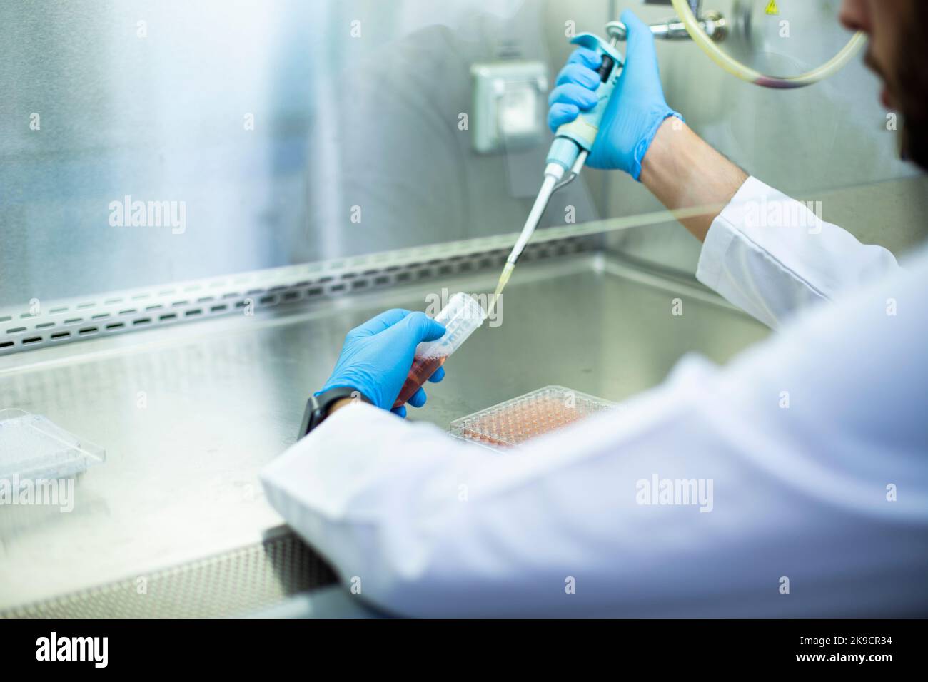 Lab Bio Cell cell culture, medicine, medical and biology laboratory Stock Photo - Alamy