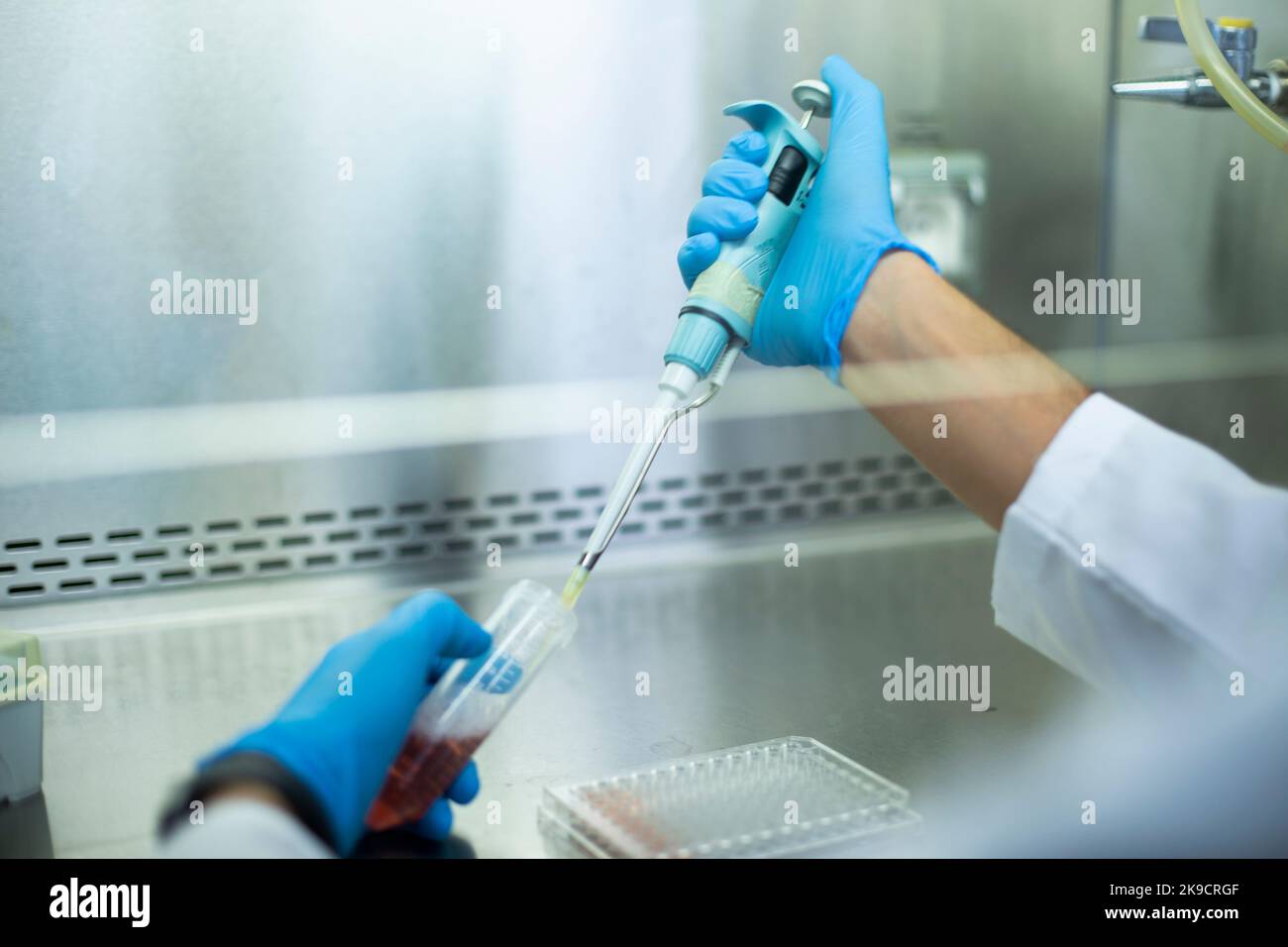Lab Bio Cell cell culture, medicine, medical and biology laboratory Stock Photo - Alamy