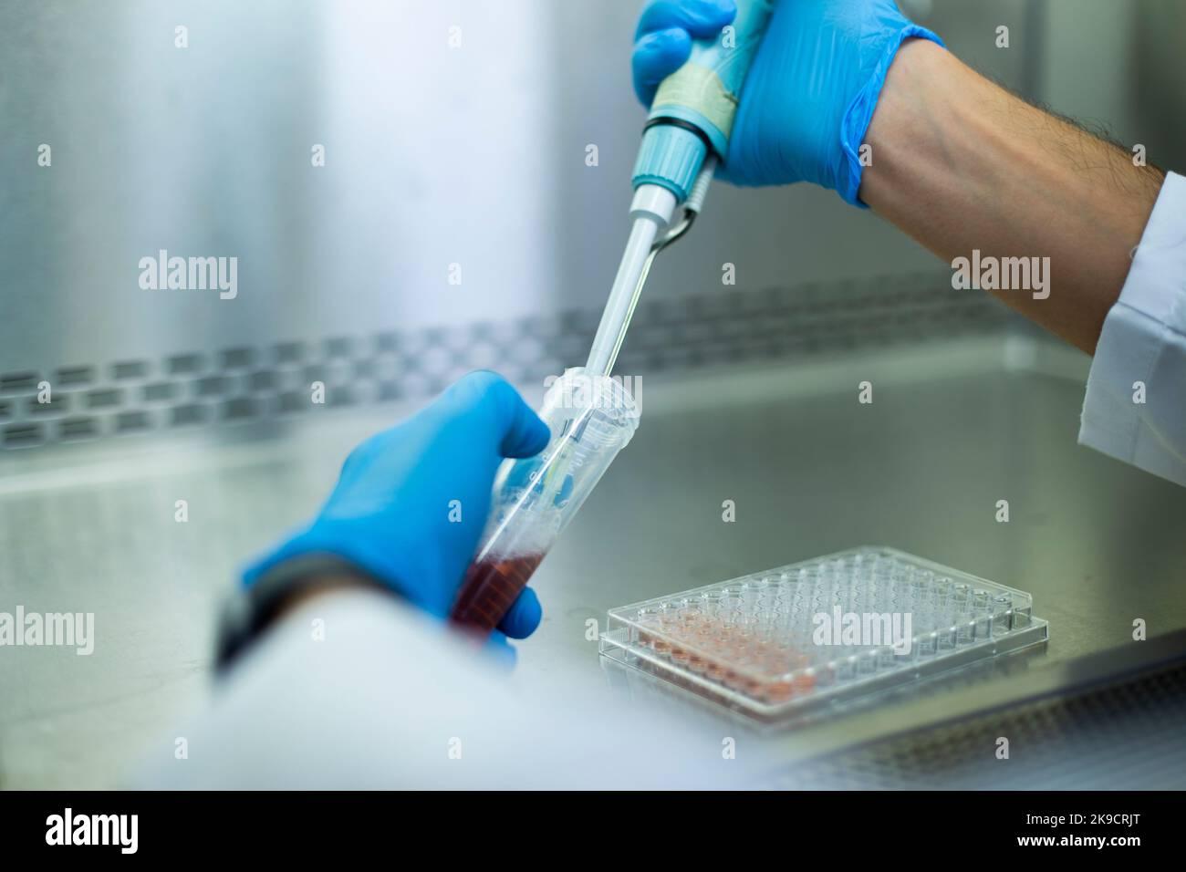 cell culture, medicine, medical and biology laboratory Stock Photo Alamy
