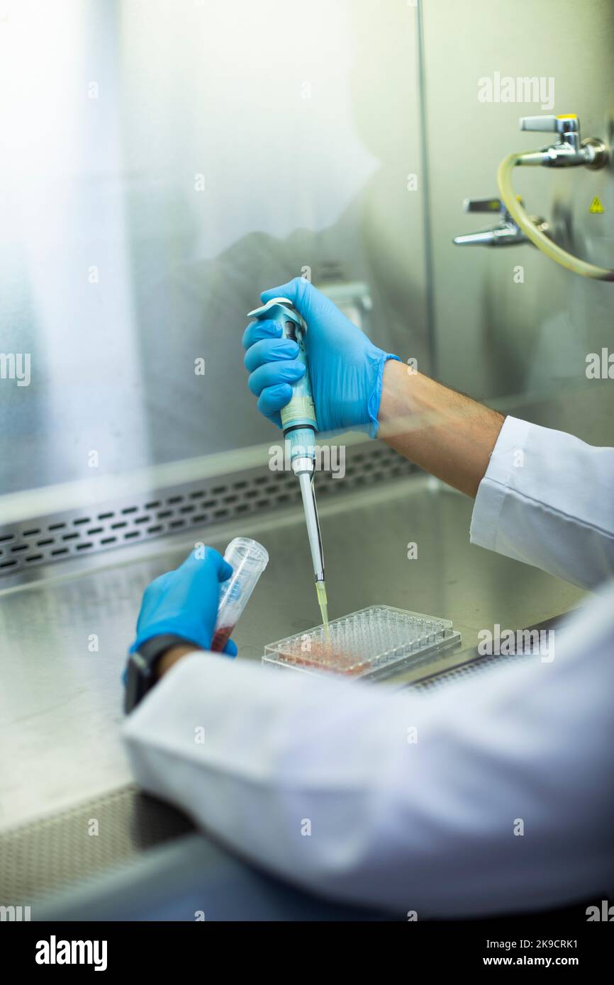 Lab Bio Cell cell culture, medicine, medical and biology laboratory Stock Photo - Alamy