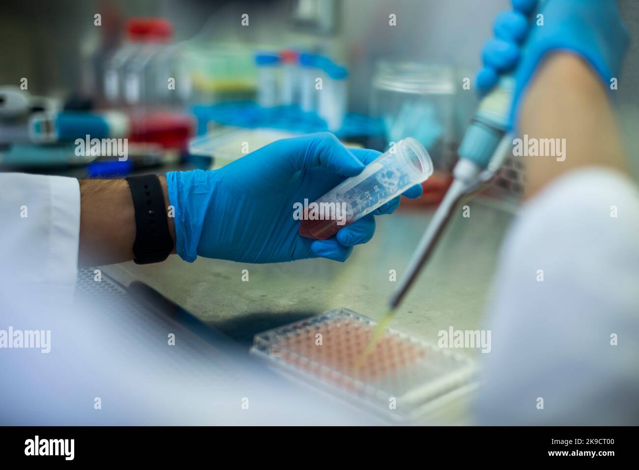 Lab Bio Cell cell culture, medicine, medical and biology laboratory Stock Photo - Alamy