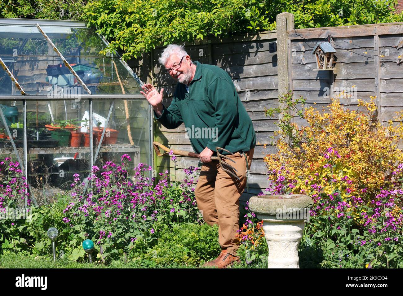 Elderly man gardening. Happy to be fit and enjoy his garden. Stock Photo