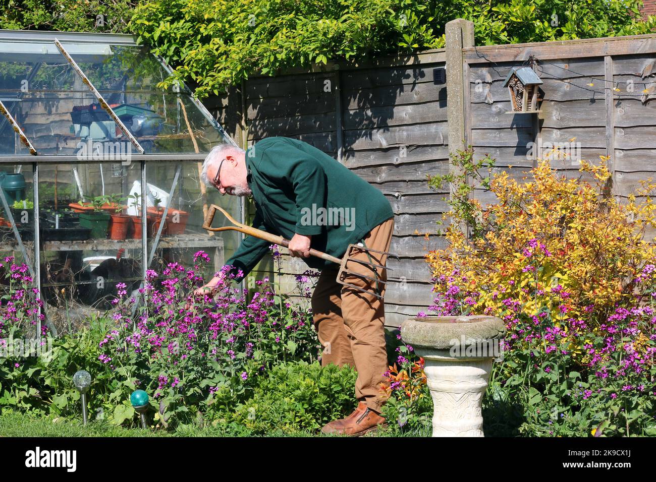 Happy elderly man gardening in the fresh air. Stock Photo