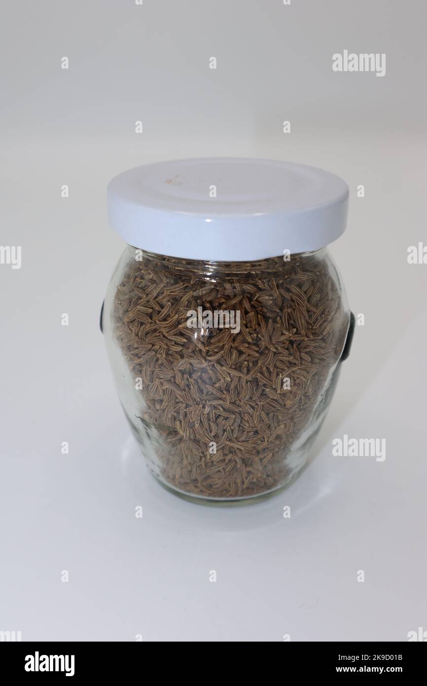 Caraway, also known as meridian fennel and Persian cumin (Carum carvi