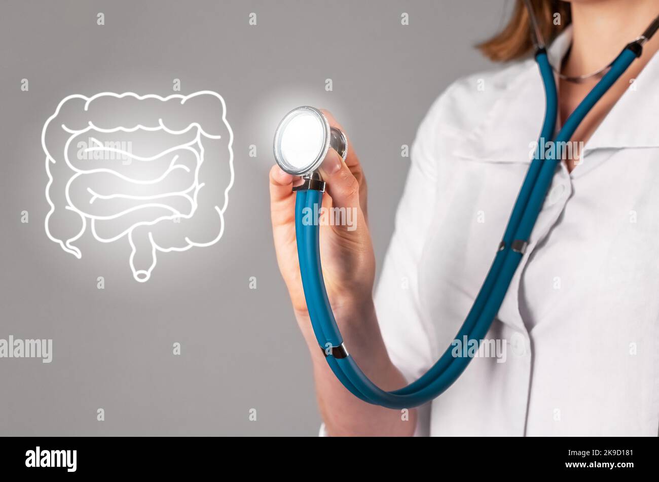 Doctor and intestine, inner organ. Gastrointestinal system, health of bowels, guts. Gastroenterology concept. High quality photo Stock Photo