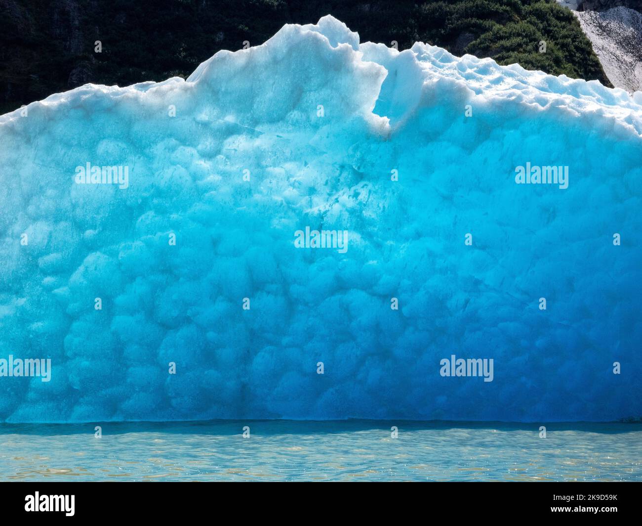 At Shakes Lake and Glacier up the Stikine River, Tongass National Forest, Wrangell, Alaska. Stock Photo