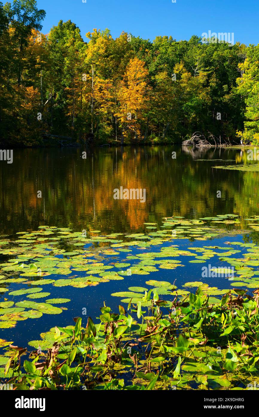 Branford Supply Pond, Supply Ponds Preserve, Branford, Connecticut