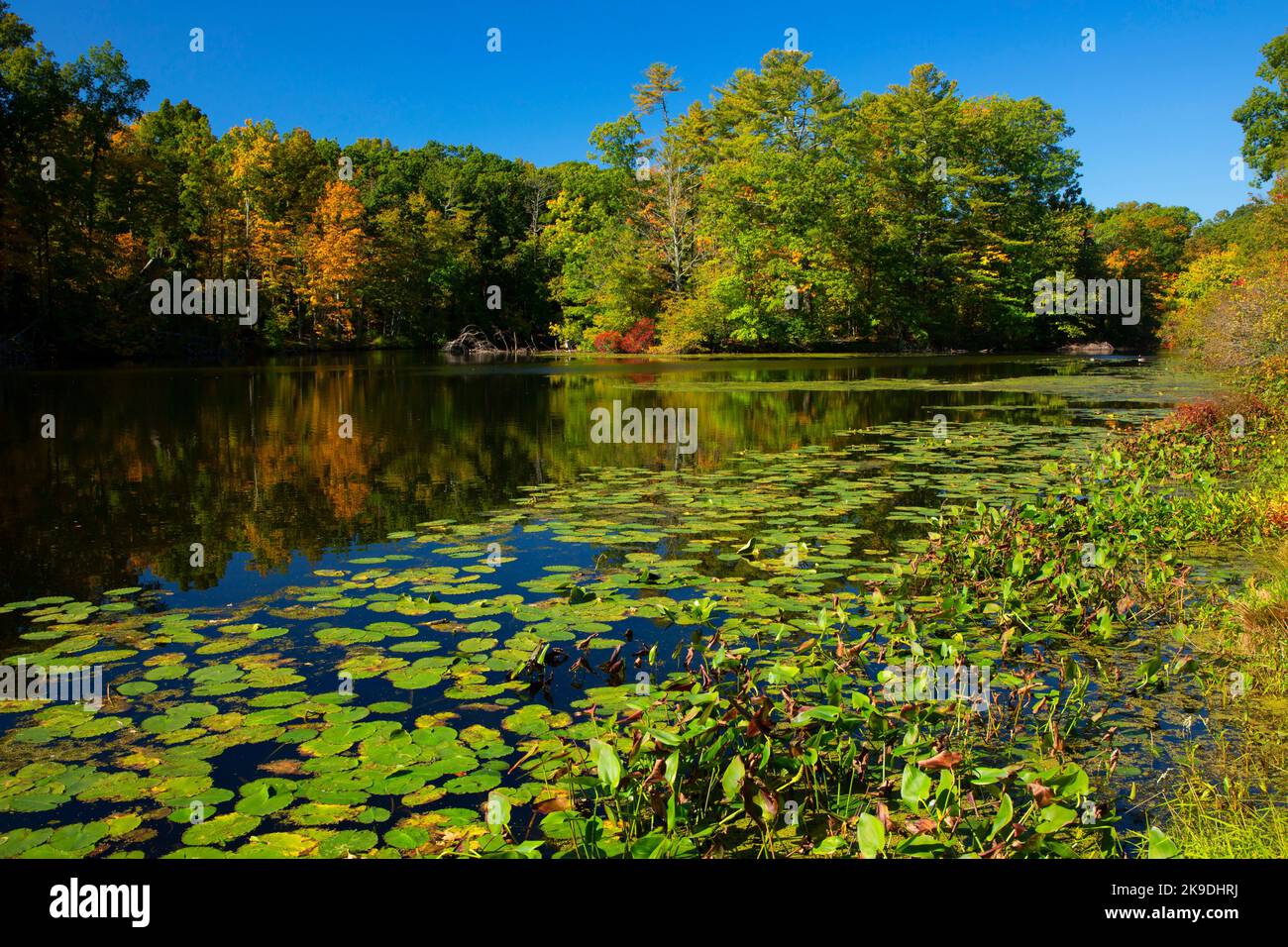 Branford Supply Pond, Supply Ponds Preserve, Branford, Connecticut ...