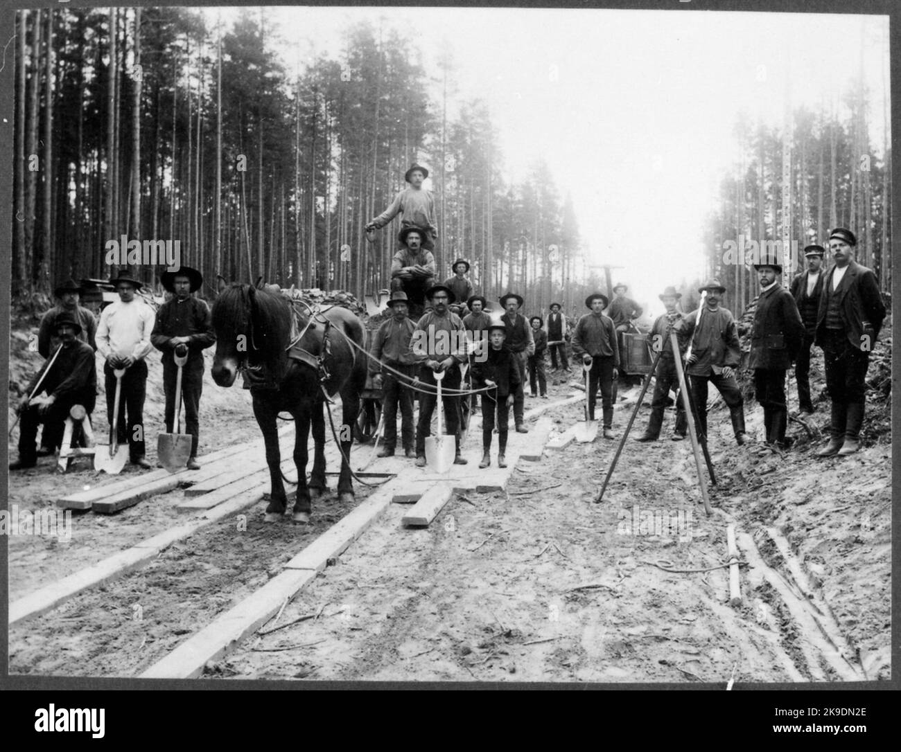 Building visual data 7