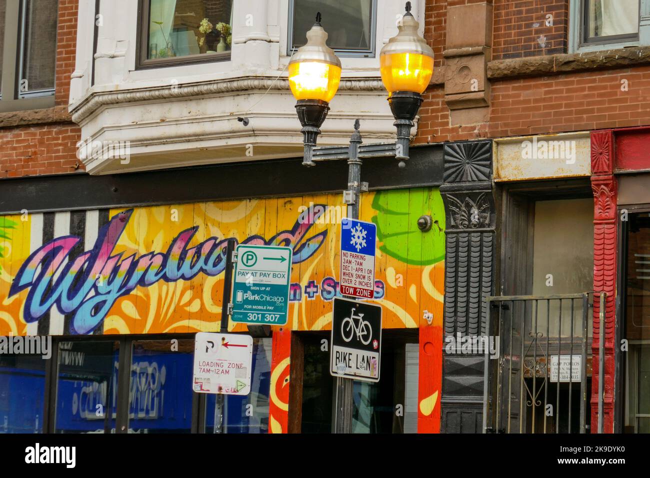 Streetlight, snow route and parking, bike lane signs in front of