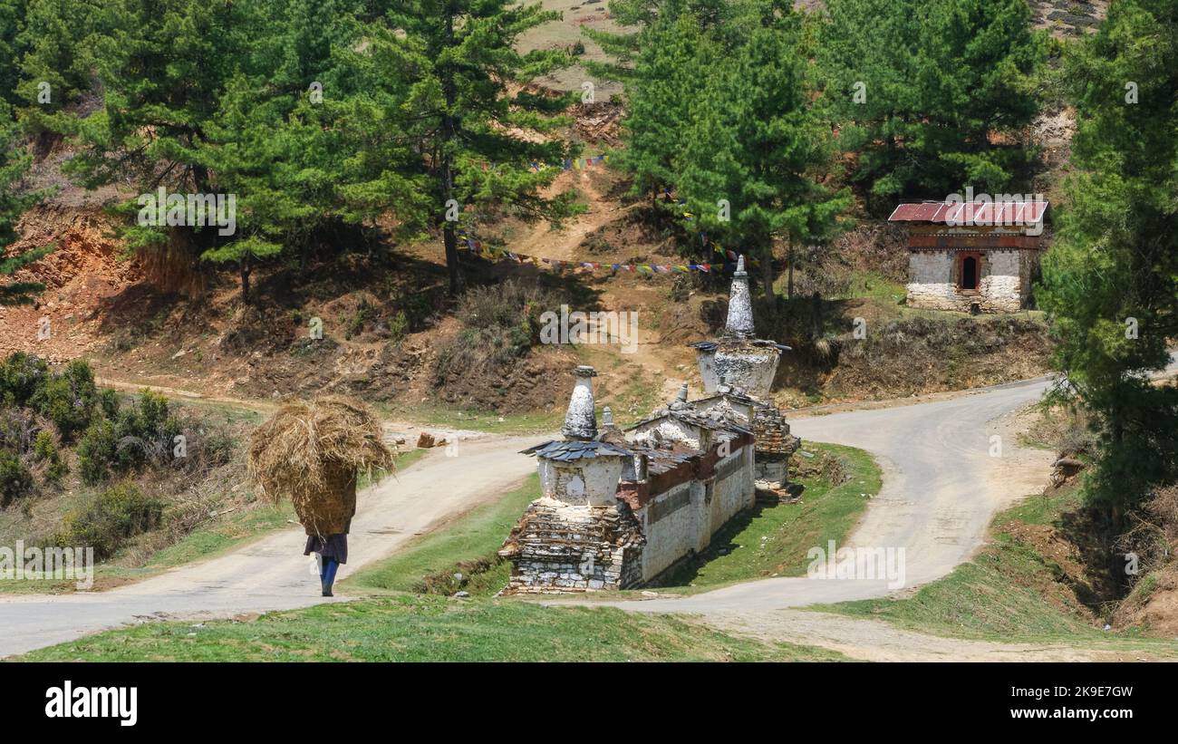 Rural landscape view with traditional mani prayer wall with chorten and man carrying straw in the beautiful high Phobjikha valley, Central Bhutan Stock Photo