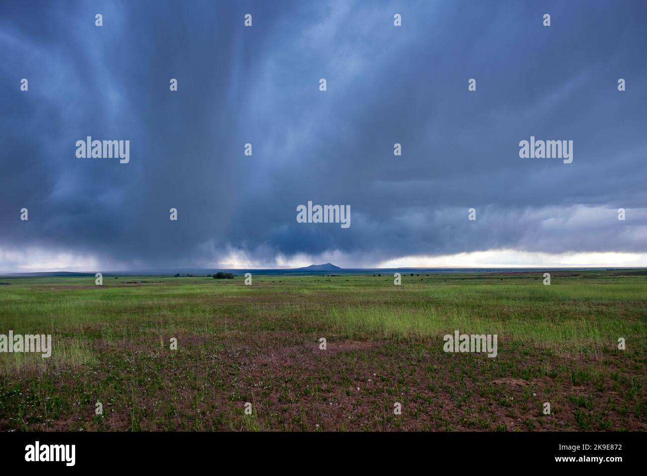 Passing rainstorm, Utah, near the Great Basin, green spring landscape, Western United States Stock Photo