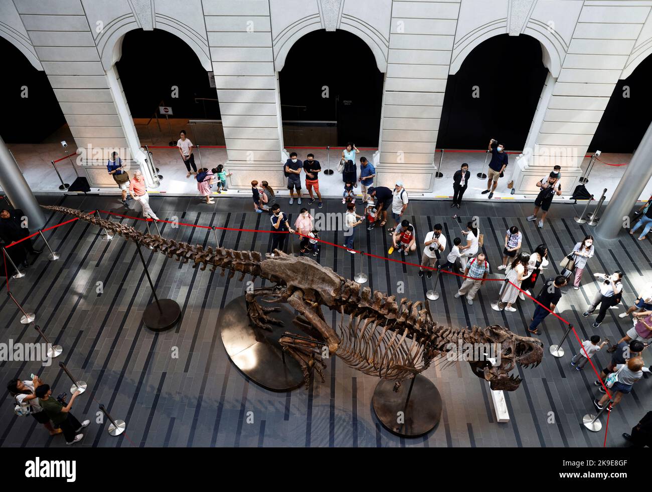 People take photos of Shen the T. rex, a 1.4 tonne Tyrannosaurus Rex dinosaur skeleton that is being offered for auction by Christie's, displayed at the Victoria Theatre & Concert Hall in Singapore October 28, 2022. REUTERS/Edgar Su Stock Photo