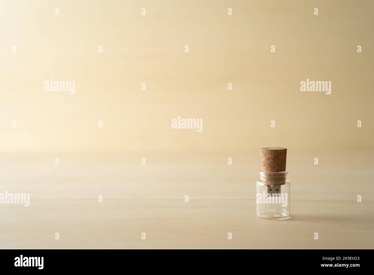 Usb stick in wine cork Stock Photo