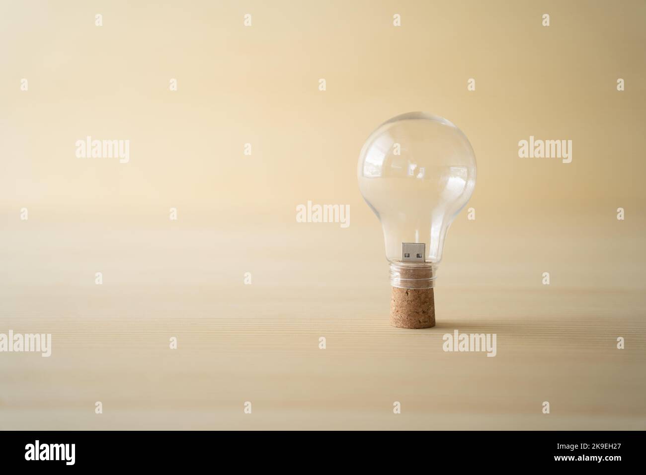 Usb stick in wine cork Stock Photo