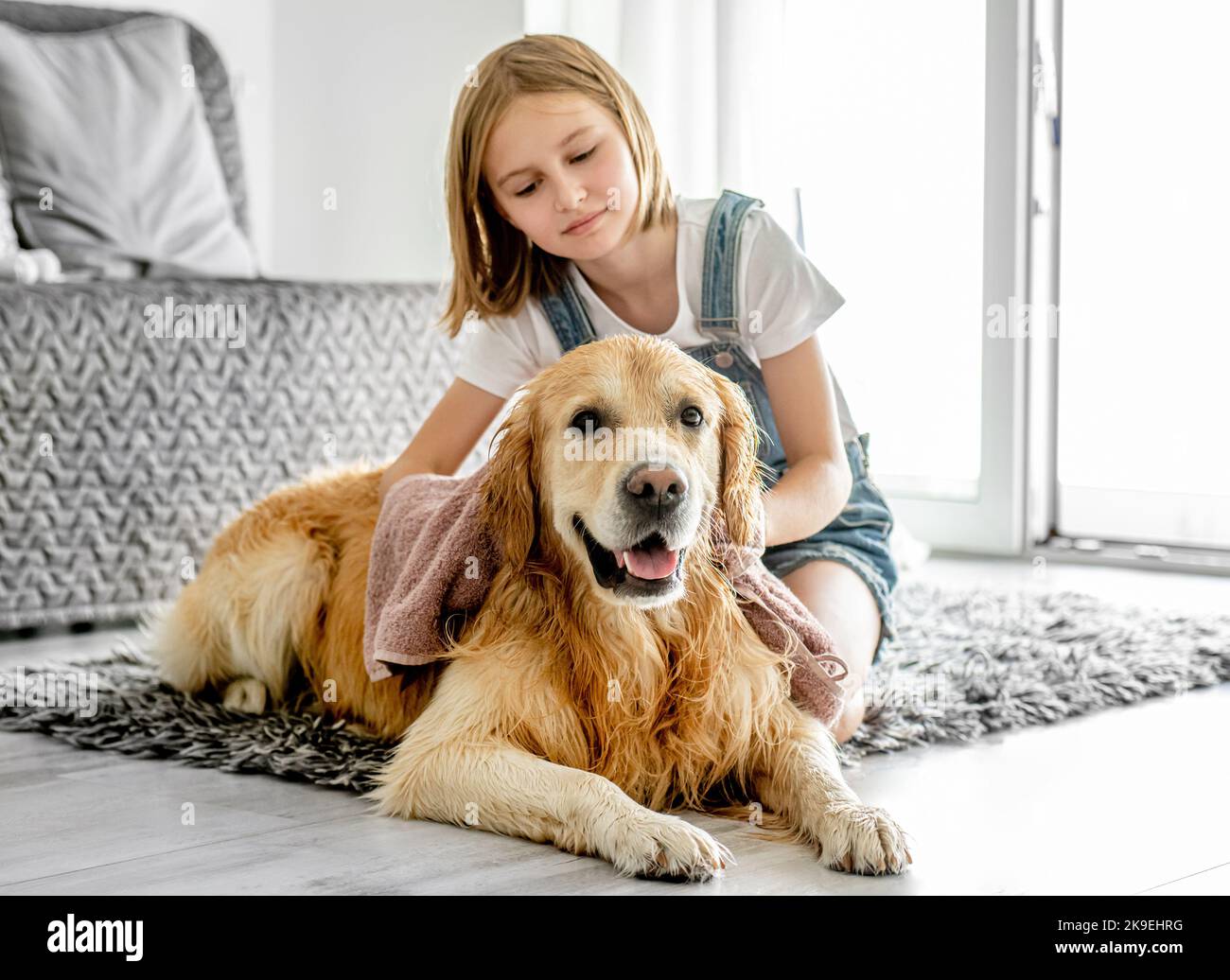 Girl with golden retriever dog Stock Photo