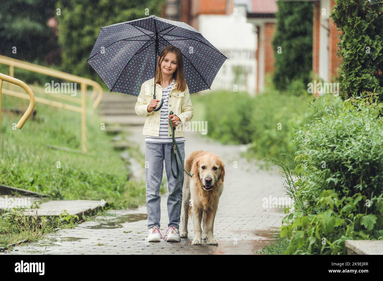 Girl with golden retriever dog in rainy day Stock Photo Alamy