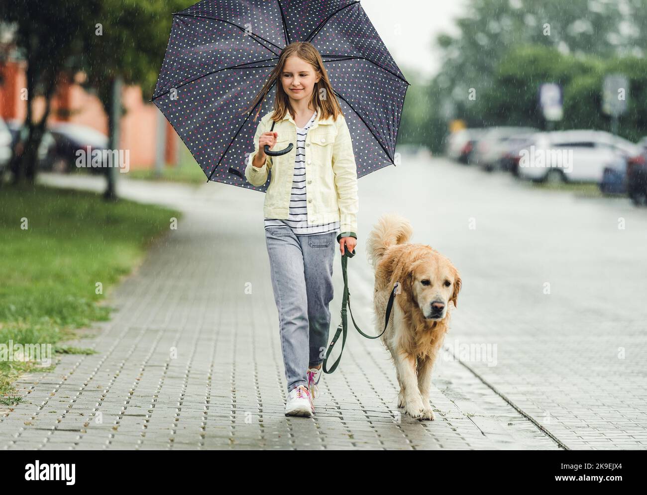 Girl with golden retriever dog in rainy day Stock Photo - Alamy