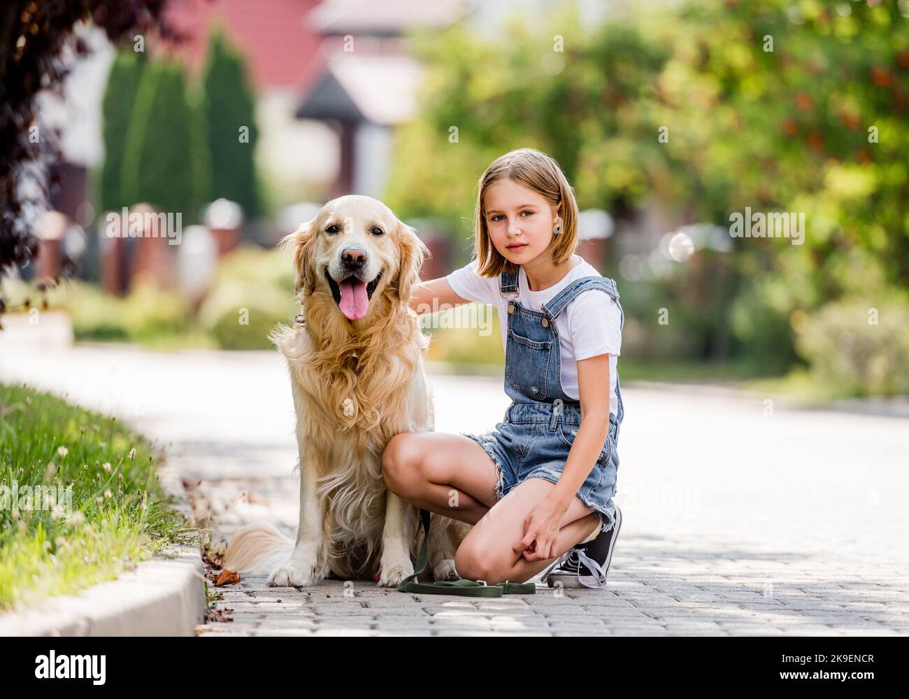 Girl and golden retriever dog Stock Photo - Alamy