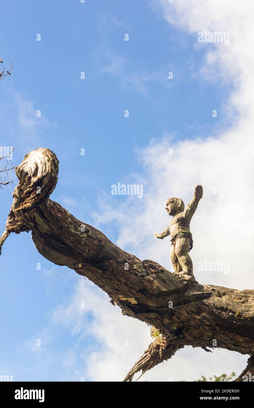 Tree art in Baguio City, Philippines Stock Photo