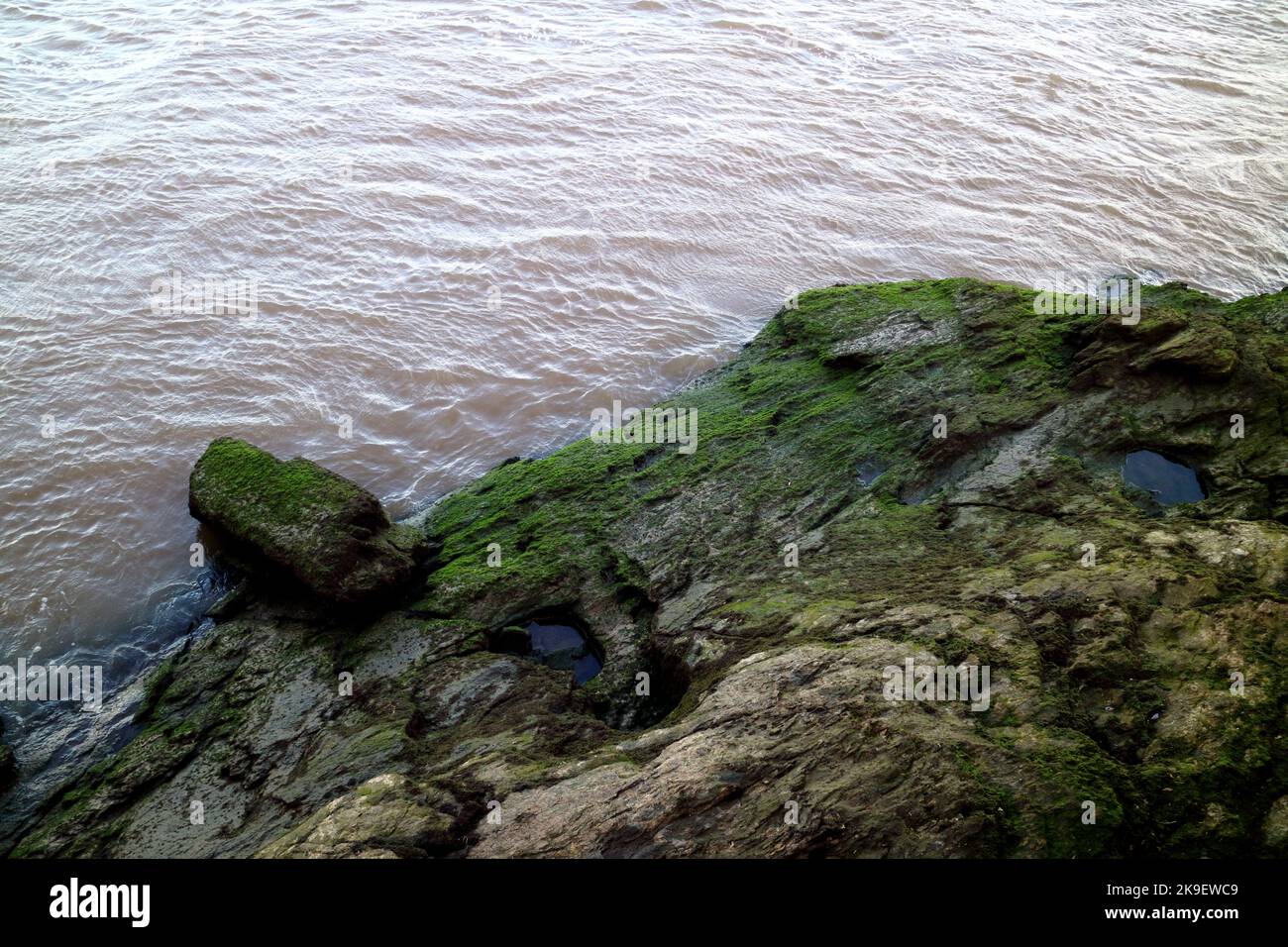 Moss rocks river australia hi-res stock photography and images - Alamy