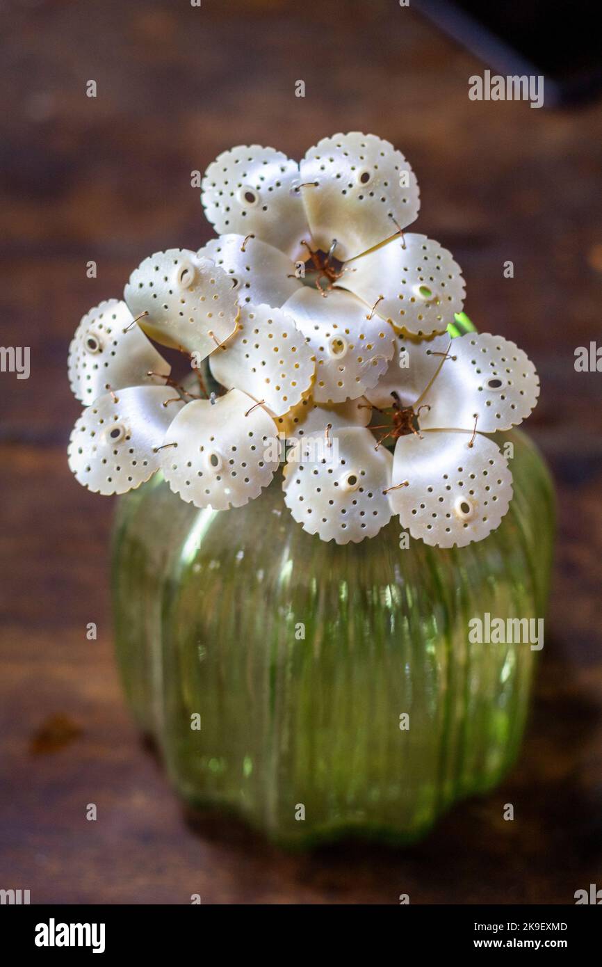 Nautlus shell art hi-res stock photography and images - Alamy