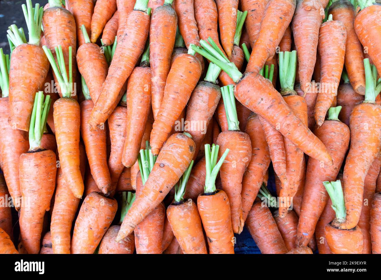Carrots at a Filipino vegetable market stall in Cebu City, Philippines