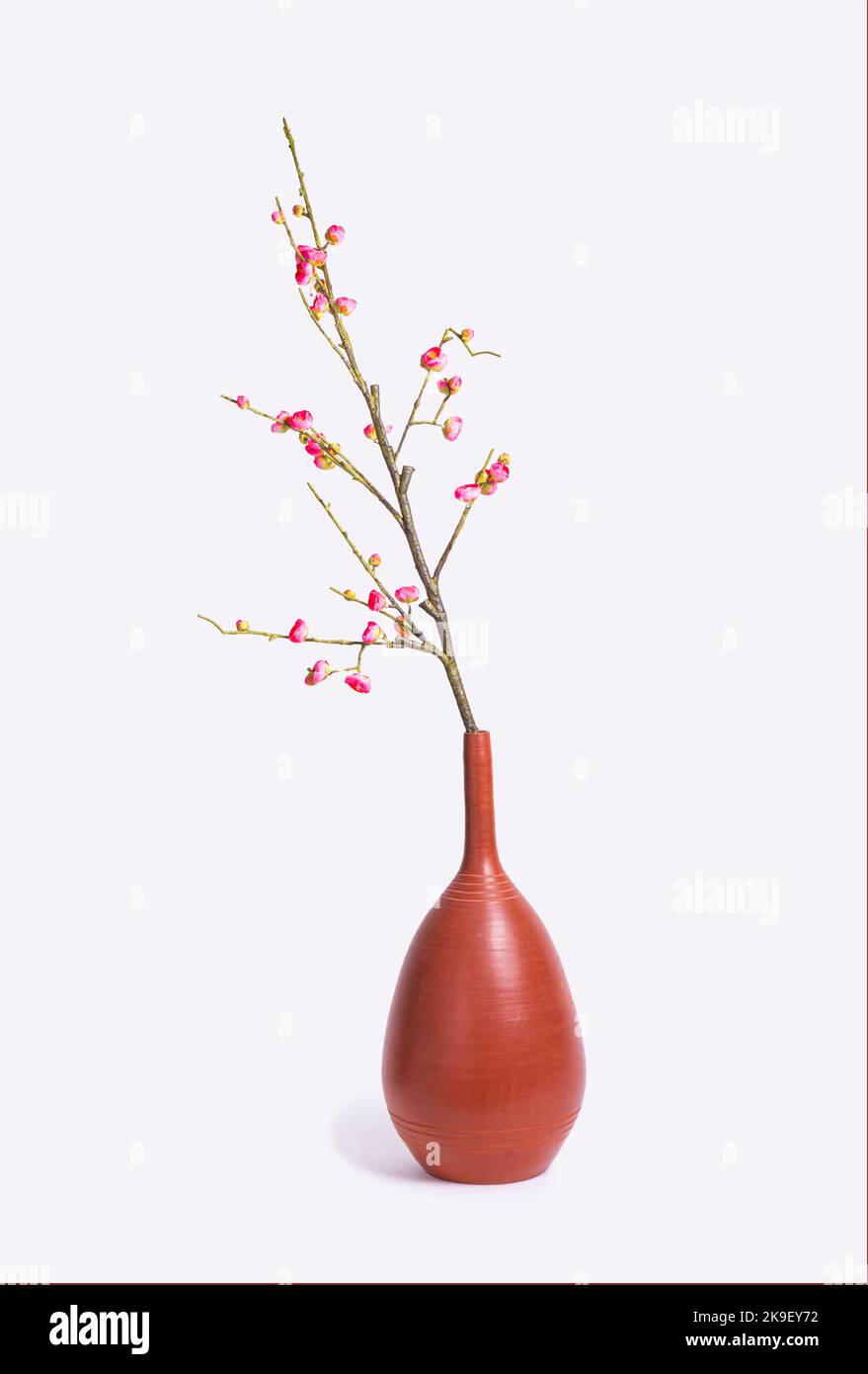 flowering sprig of almonds in a clay vase on a white isolated background. Artificial flowers Stock Photo