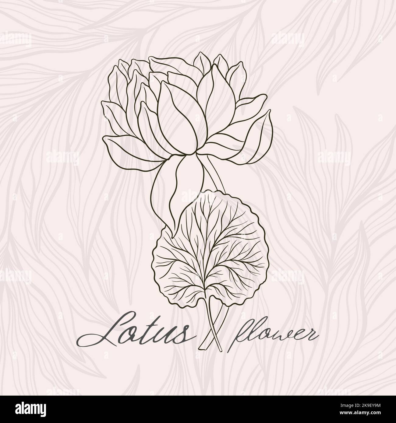 Lotus flower outline hnd drawn style. Asian national symbol plant. Vintage sketch design. Vector