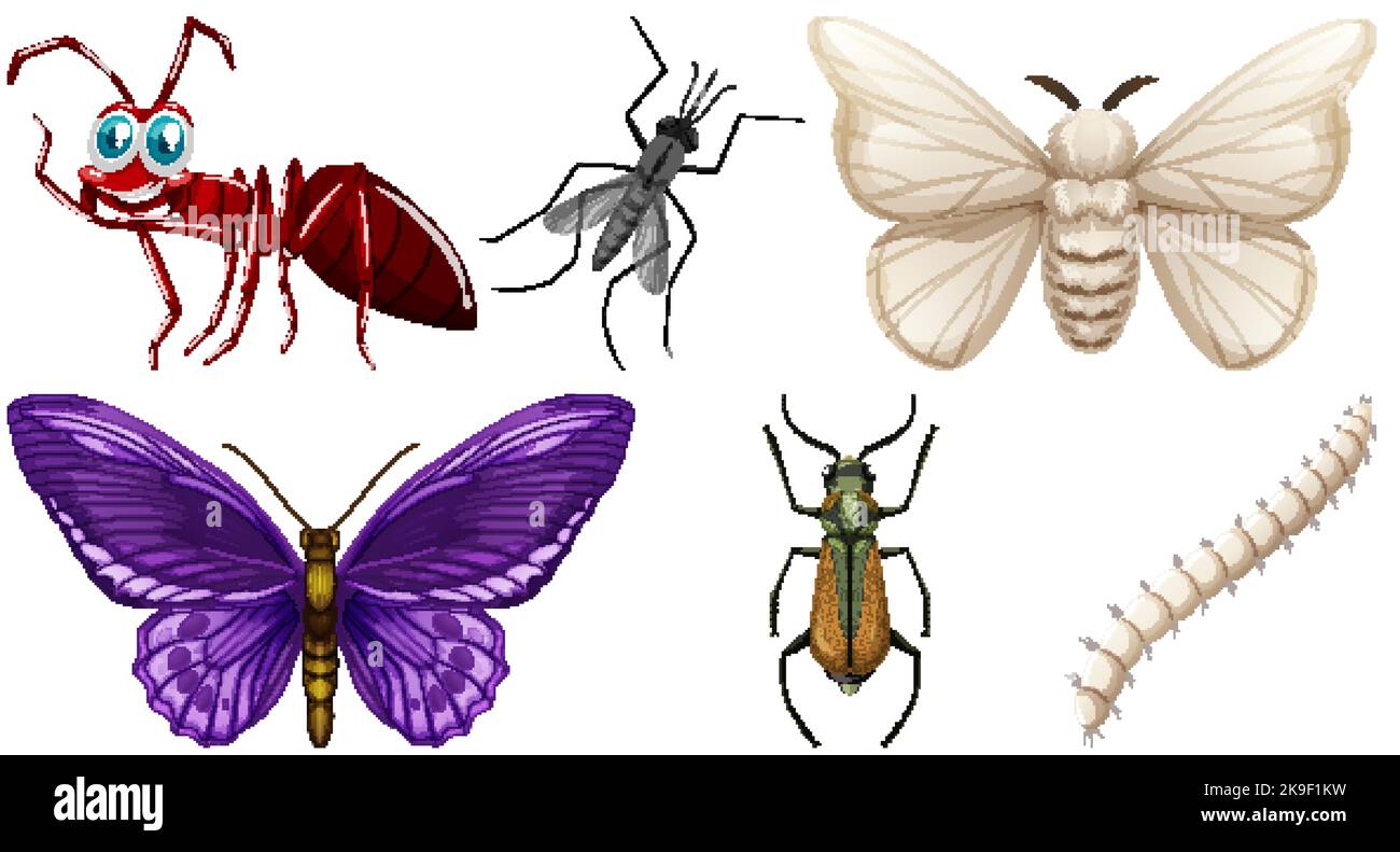 Set of different kinds of insects illustration Stock Vector Image & Art