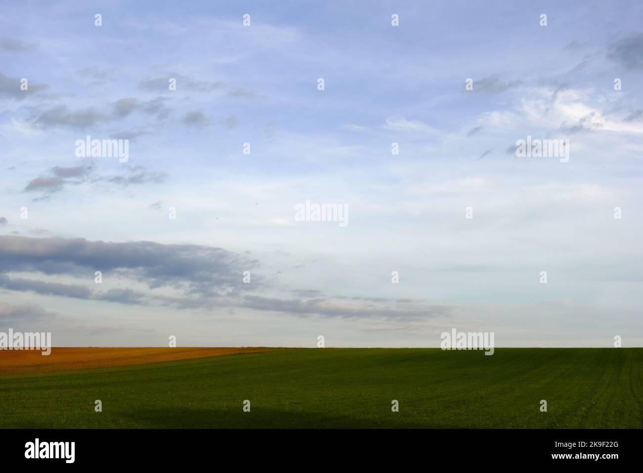 amazing flat green landscape fields with soft clouds at the sky Stock Photo