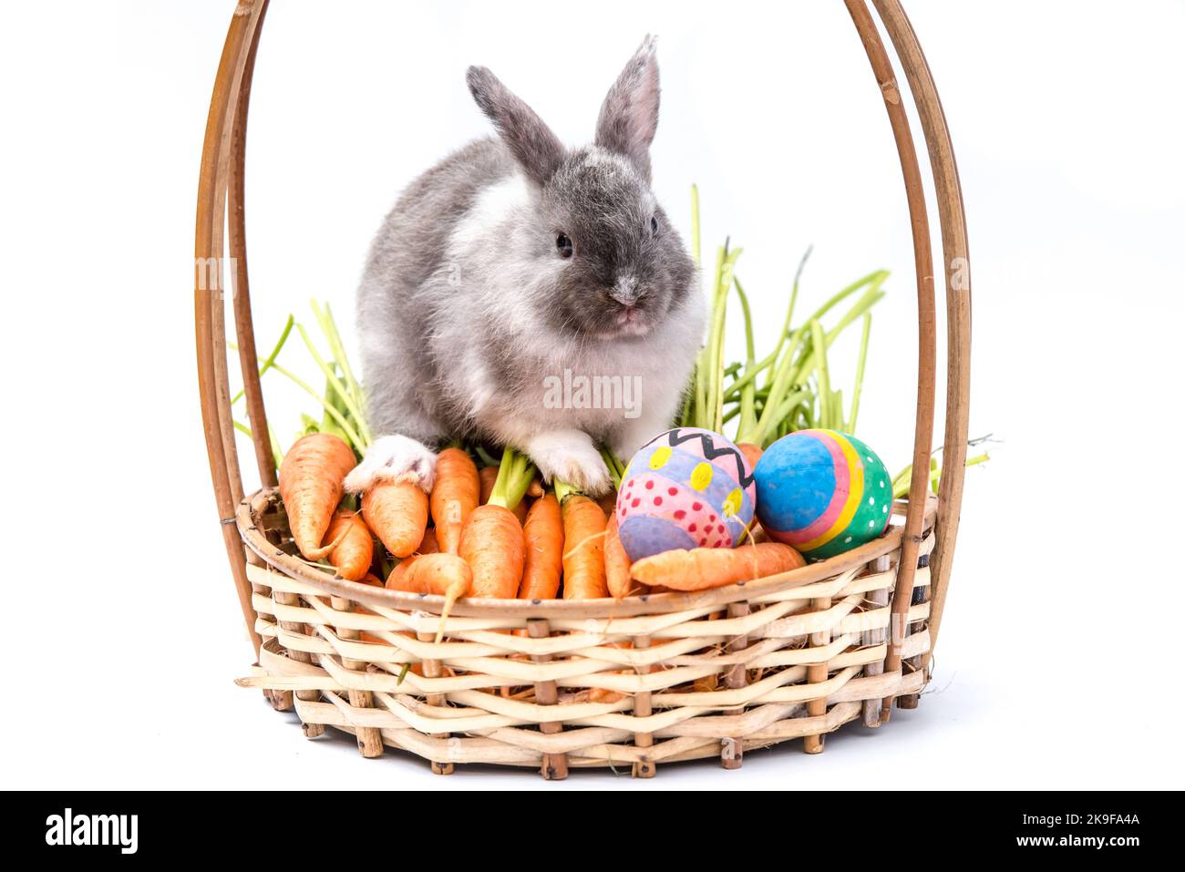 Rabbit on the basket with carrots and Easter eggs isolated on white ...