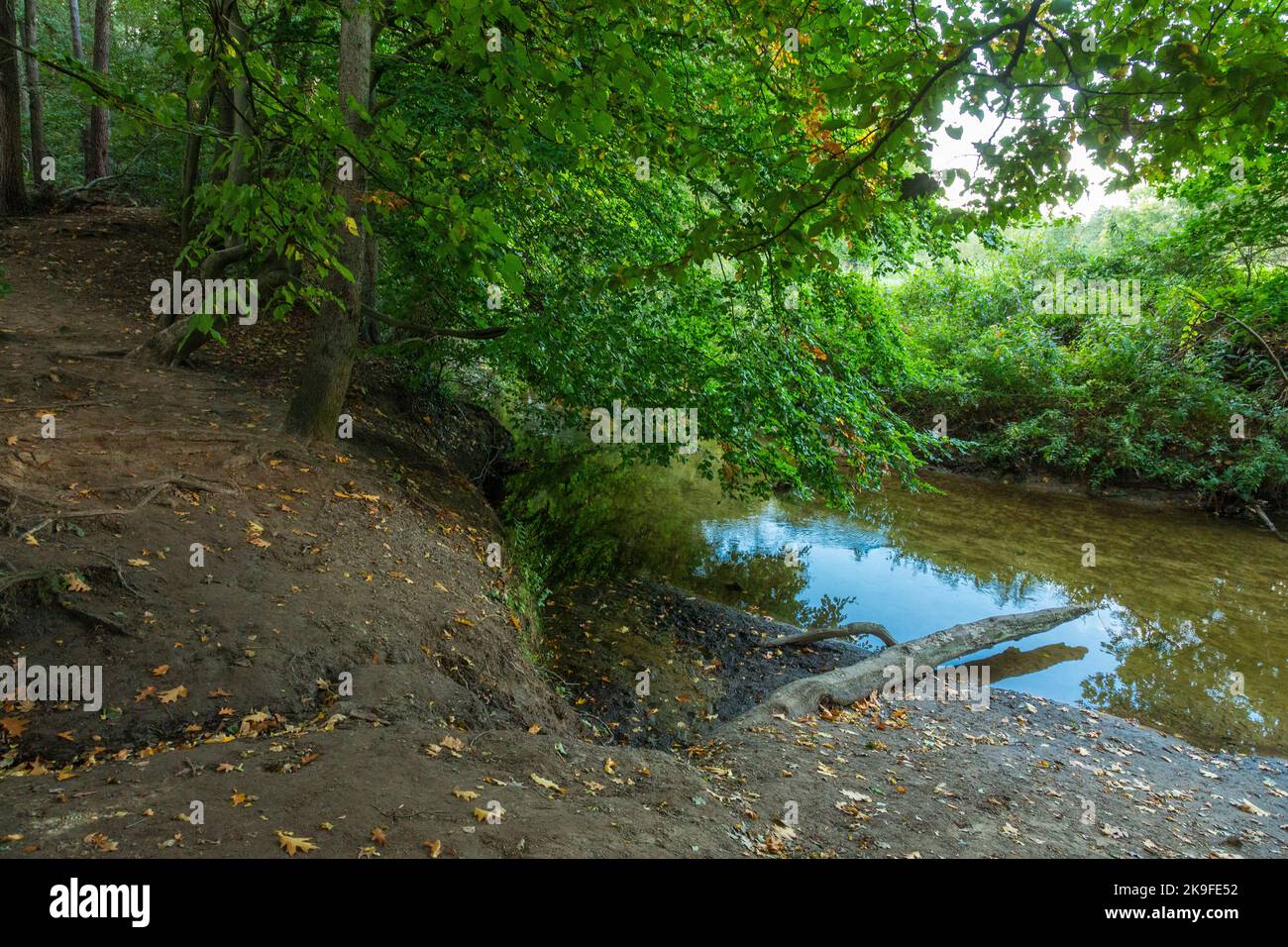 Germany, Stadtlohn, Westmuensterland, Muensterland, Westphalia, North Rhine-Westphalia, NRW, Stadtlohn-Hengeler, wooded landscape and brook in the Bockwinkel near the hillfort of Wessendorf also named Wittekind Castle, Carolingian period of the Middle Ages, cultural relict, archaeological monument Stock Photo
