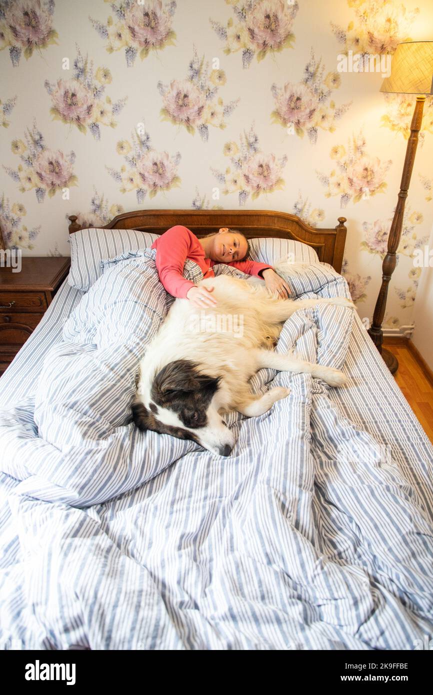 SMALL PRINTED DOG BED A NIGHT IN THE 90S main image 1