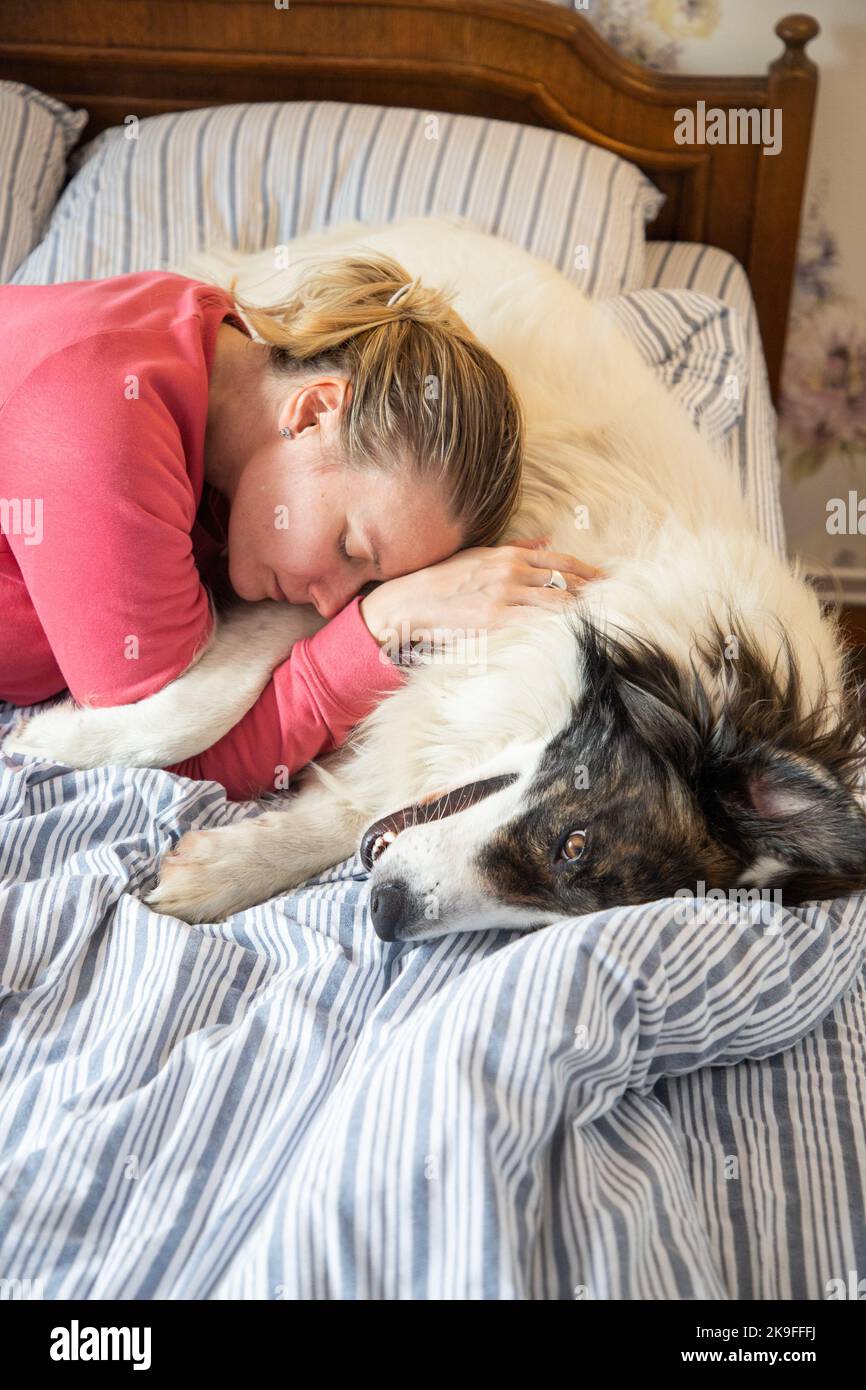 cute white dog in bed in vintage bedroom Stock Photo - Alamy