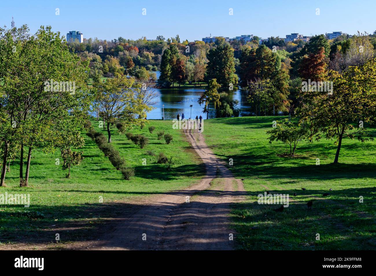 Landscape with footpath surrounded by vivid green and yellow trees, plants trees and grass towards the lake in Parcul Tineretului (Tineretului Park) i Stock Photo