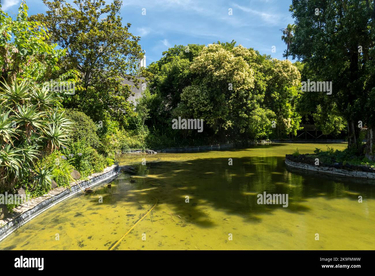Exterior view of a section from the Cold Greenhouse garden located in Lisbon, Portugal Stock