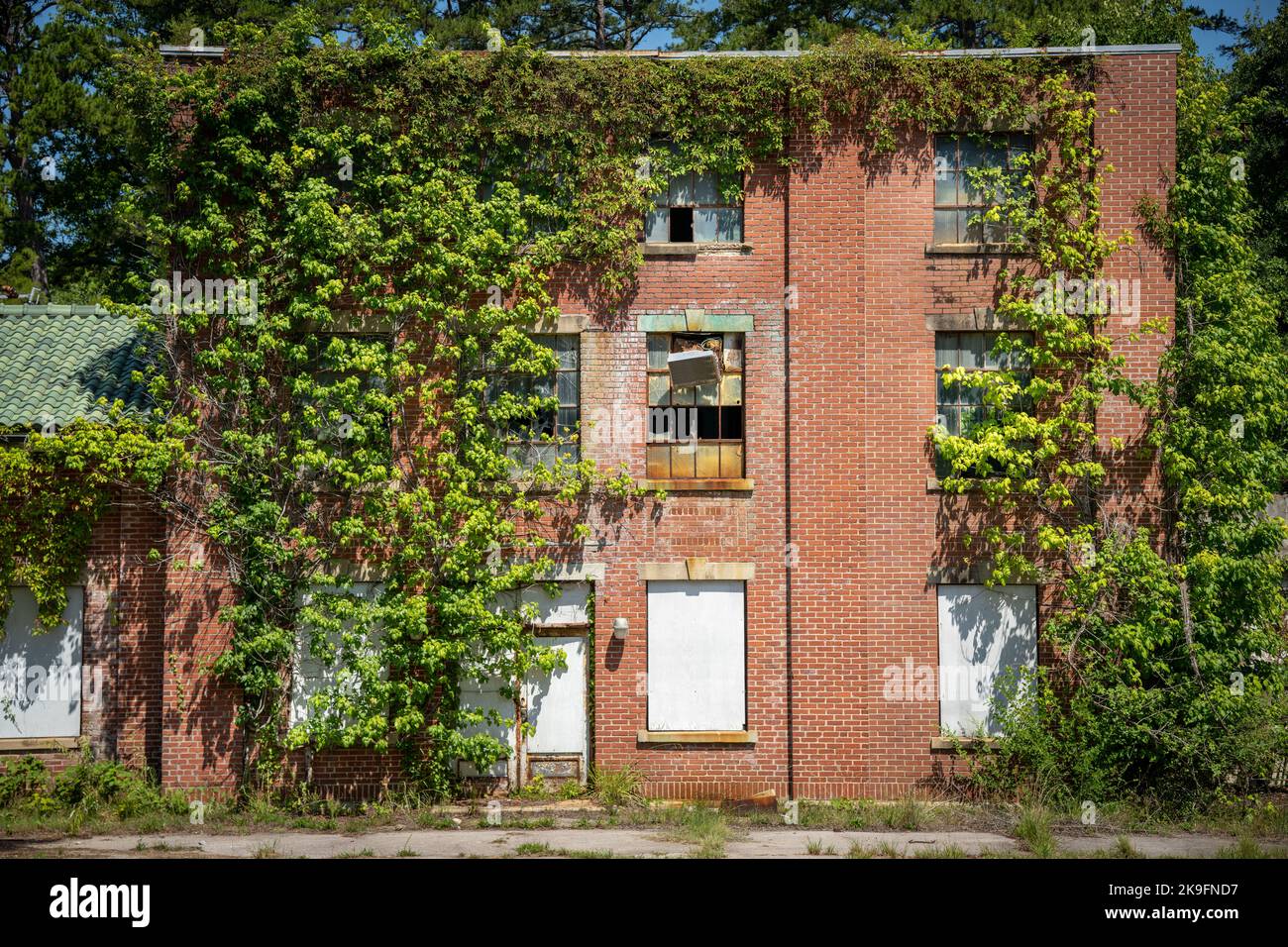 Old abandoned building in America is being taken over by plants Stock Photo