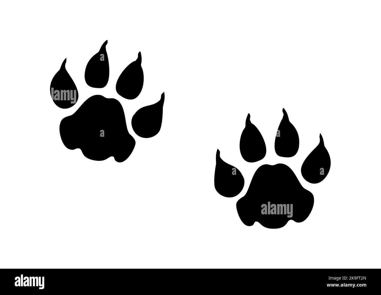 2 lion paws illustration Stock Vector