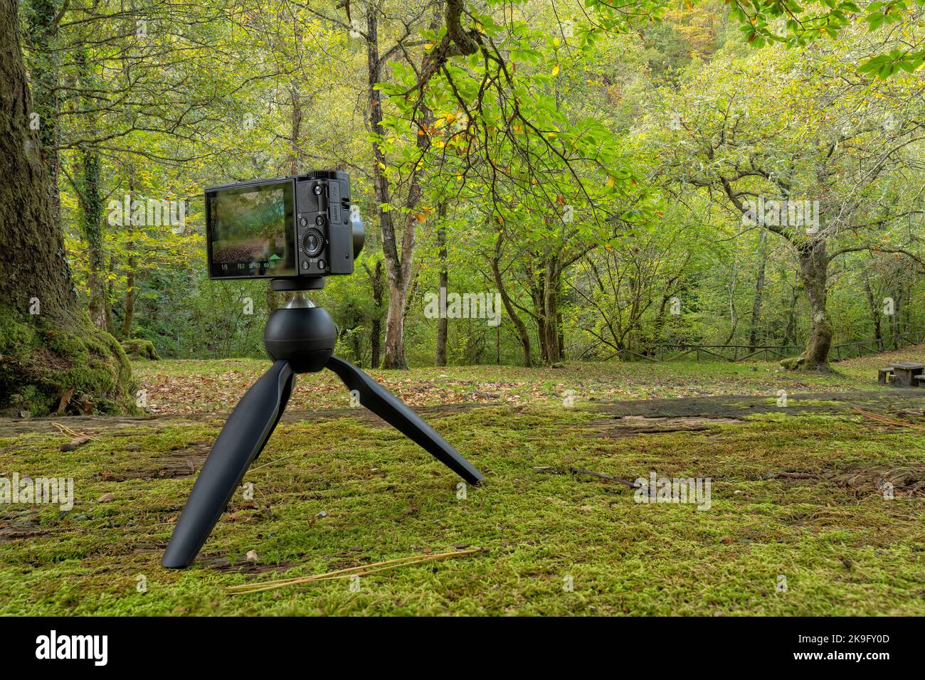 A compact photo camera mounted on a lightweight travel tripod for ...