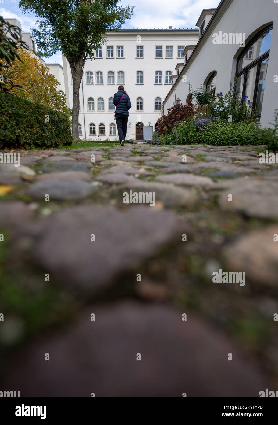 28 october 2022 saxony leipzig a visitor walks through the garden of