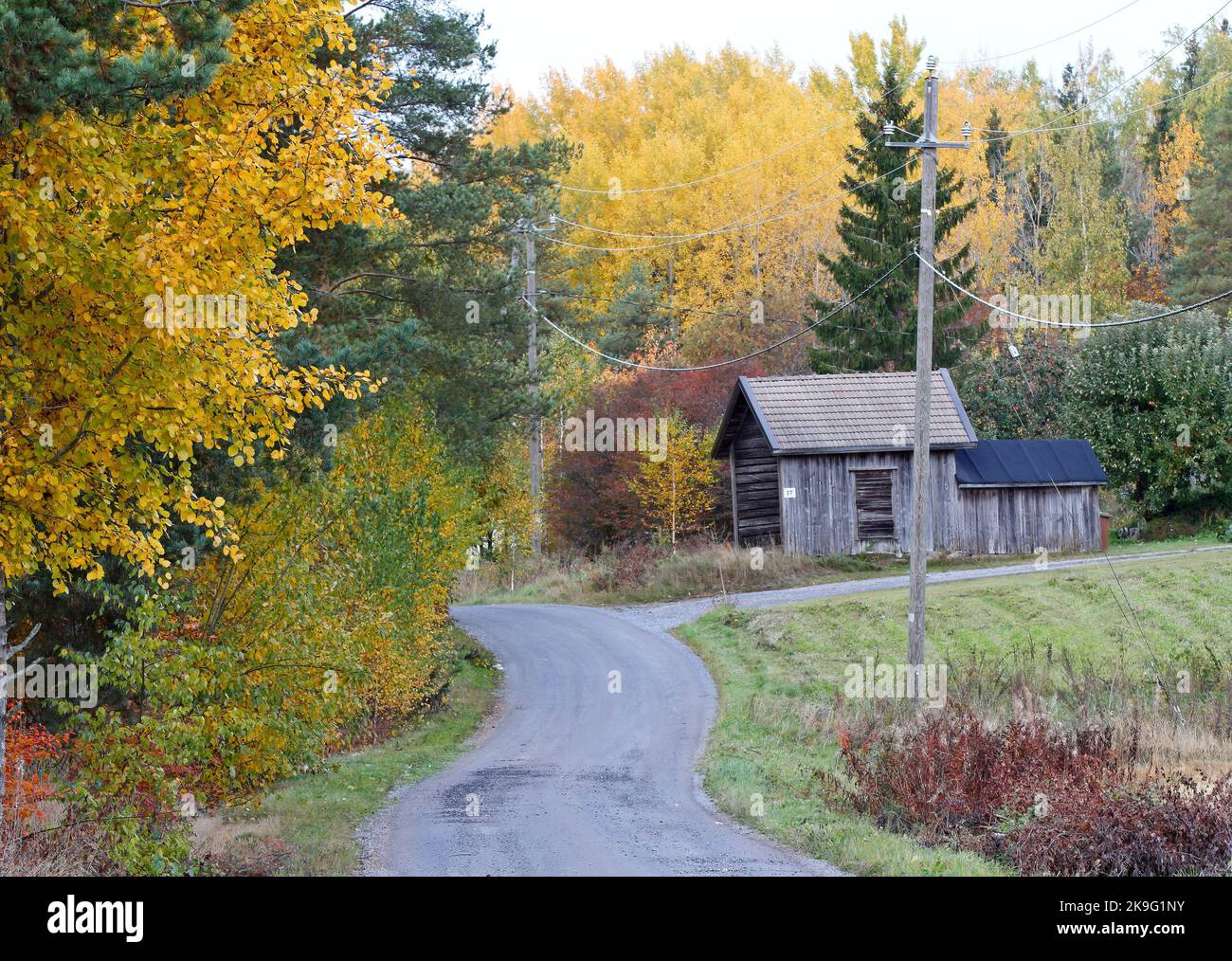 Small countryroad through autumnal landscape Stock Photo