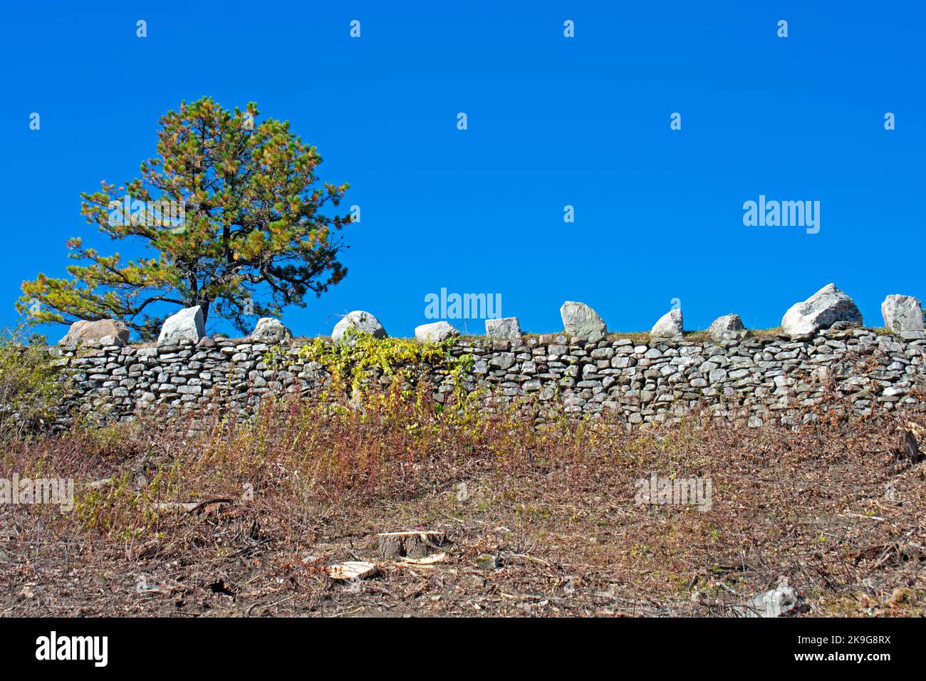 View of a stone wall and a lone tree against a blue sky at High Point State Park in Wantage, New Jersey -01 Stock Photo