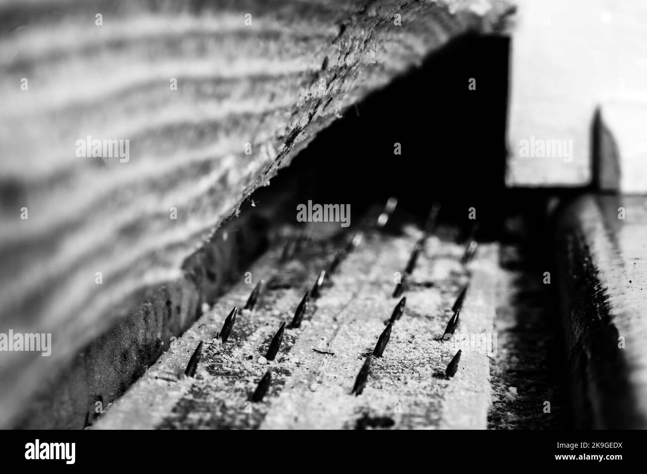 Carpet tack strip exposed during a flooring home improvement project