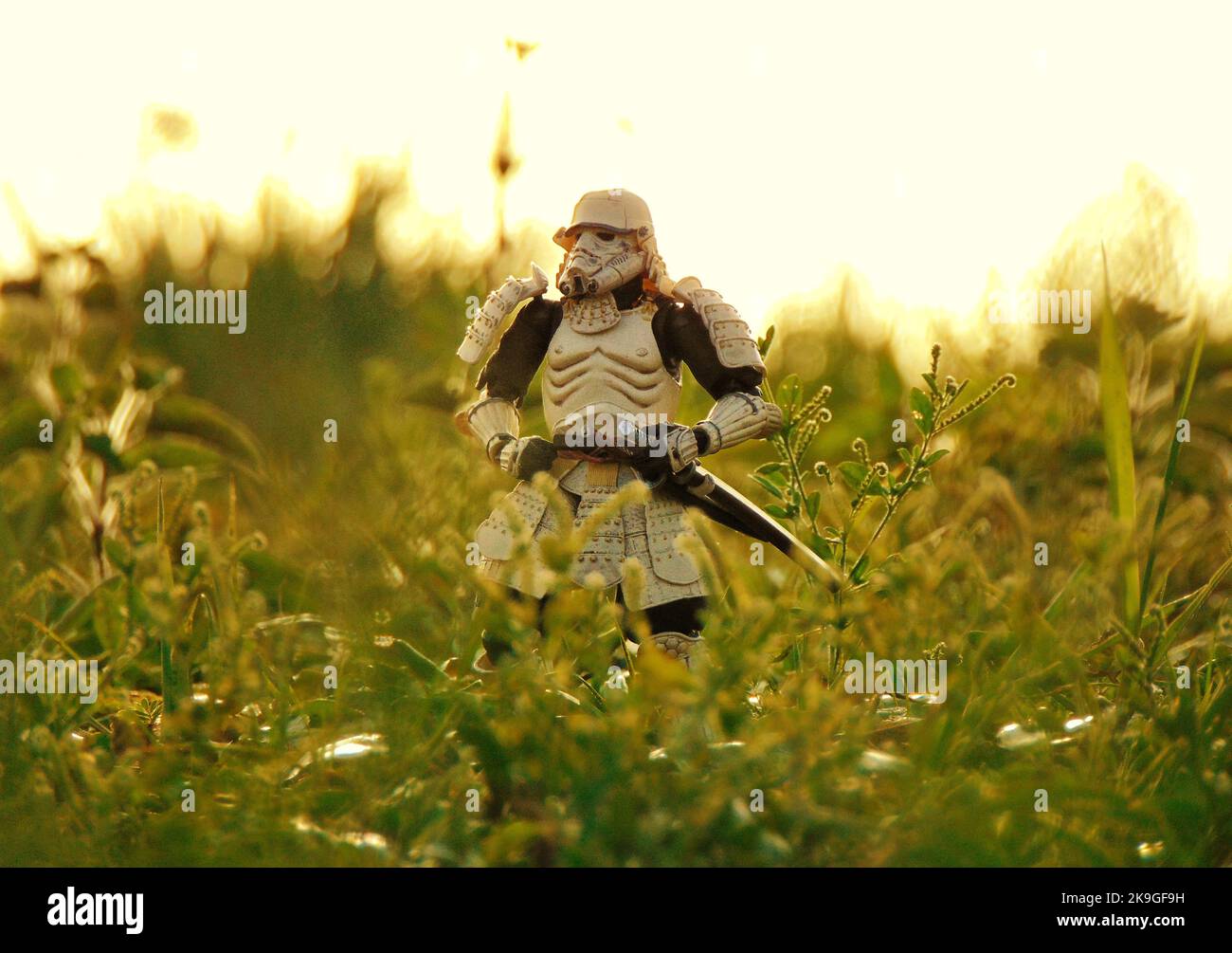 A Samurai star wars character in the grass Stock Photo - Alamy