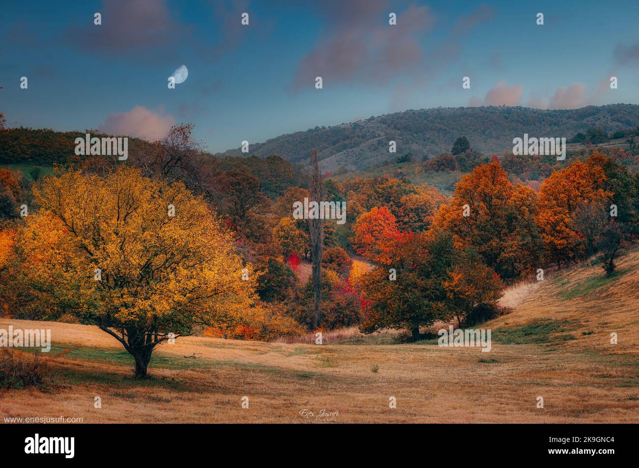 A beautiful landscape covered in autumn colors. Stock Photo