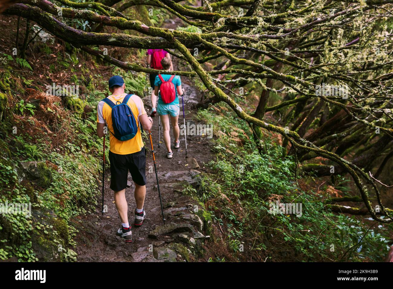 group of friends with backpacks and hiking poles walking on forest