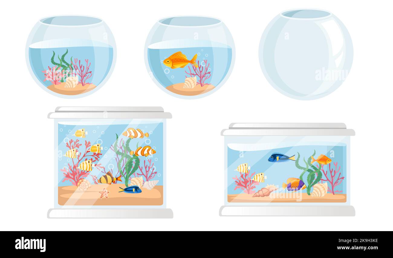 Set of big glass aquarium with different tropical fishes sand corals and shells vector illustration on white background Stock Vector