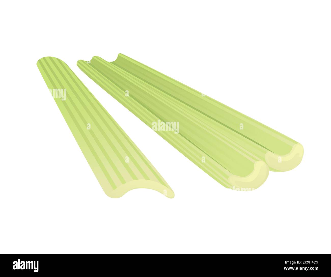 Celery green stem cartoon vegetable plant vector illustration isolated on white background Stock Vector