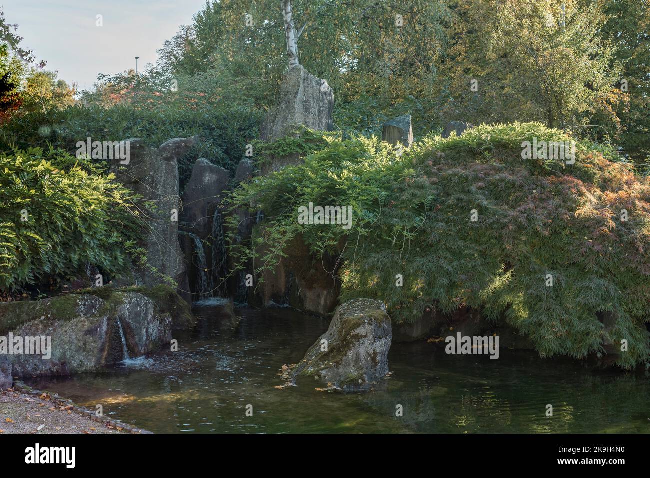 Scenic Japanese style gardens with a waterfall in the park of